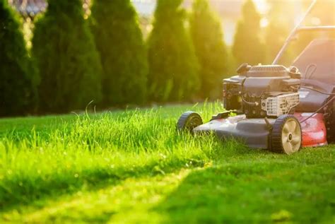 Importance of Lawn Care in Enhancing Property Value